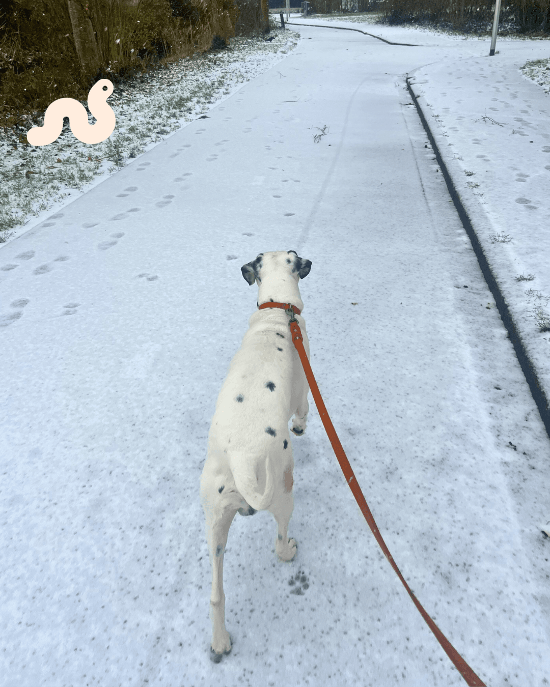 Slowing down, small detours, and warmth from within cover