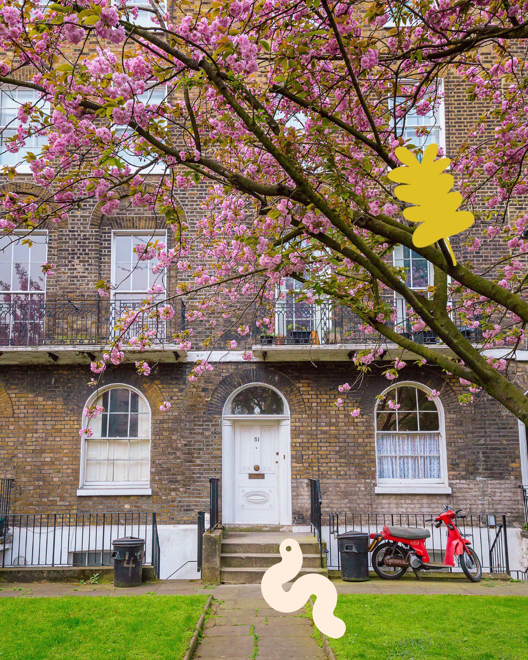 ​Blossoms, fresh air & starting again cover