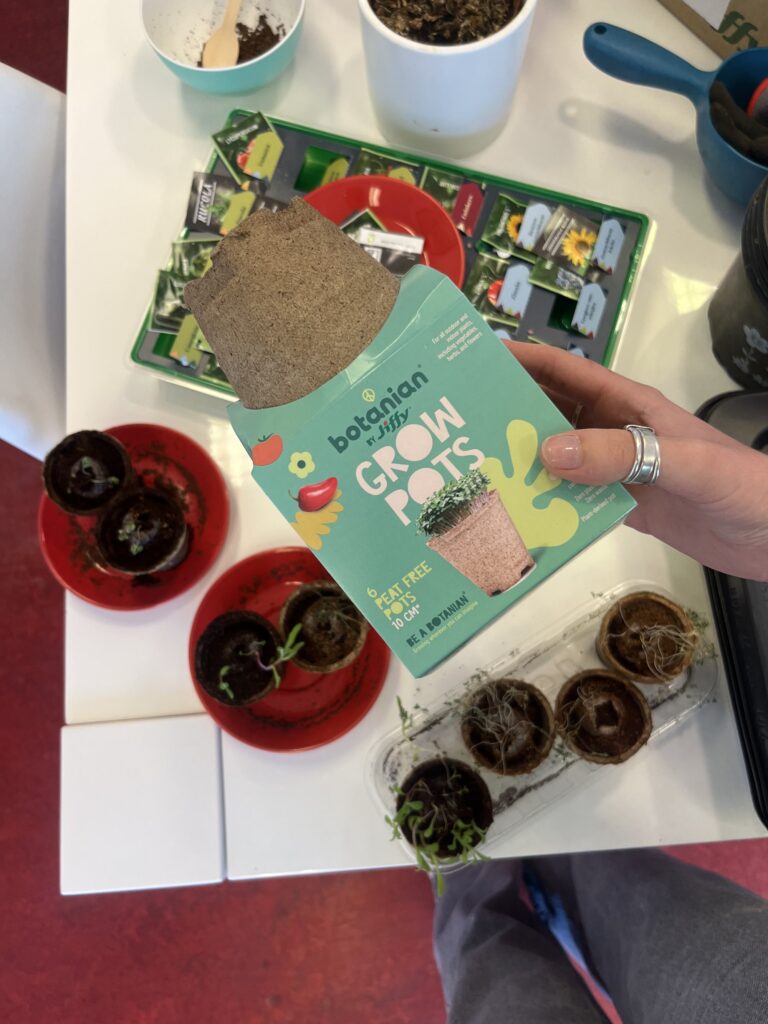 May Blooms & New Beginnings: Mini-Greenhouse Update 🌞🌱 cover