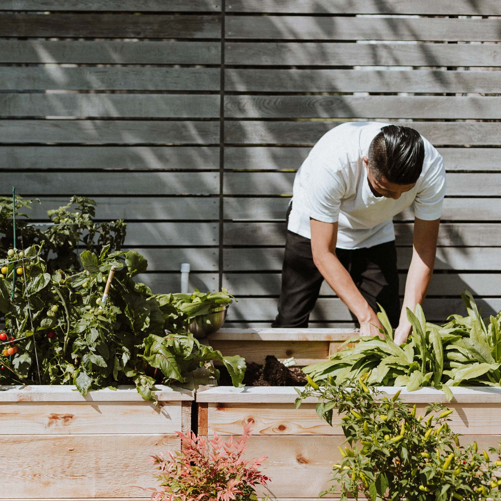 Kenzo gardening