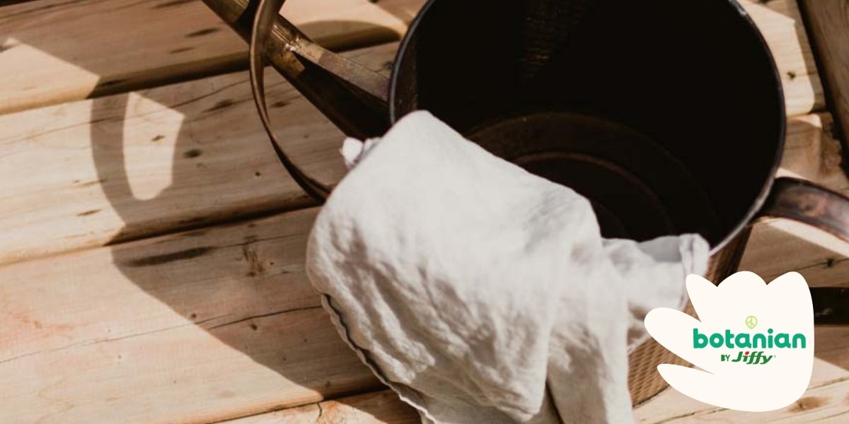 Jiffy and Braam Group Announce Strategic Distribution Partnership for Home Gardening in Europe cover