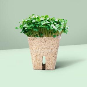 Grow Pots